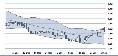 Devisenbericht 31.01.2012&rlm;